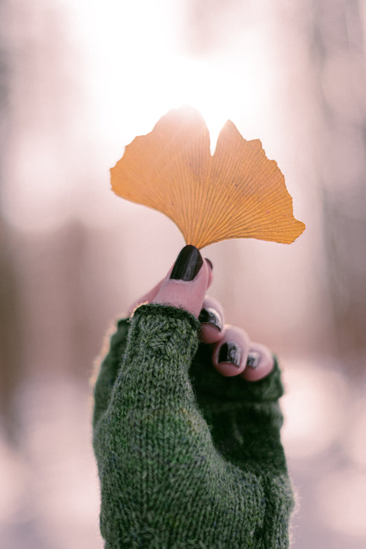 Ginkgo Biloba Mitts – Knitting pattern