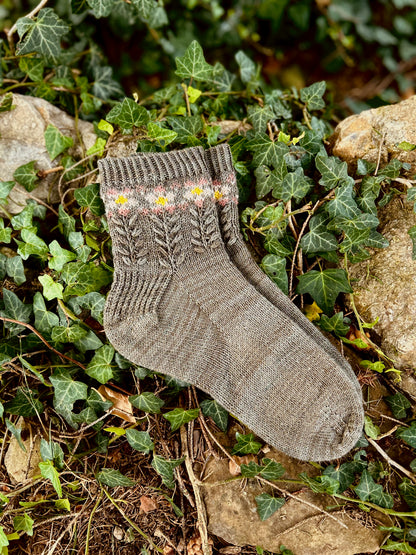 Geranium Socks – Knitting pattern