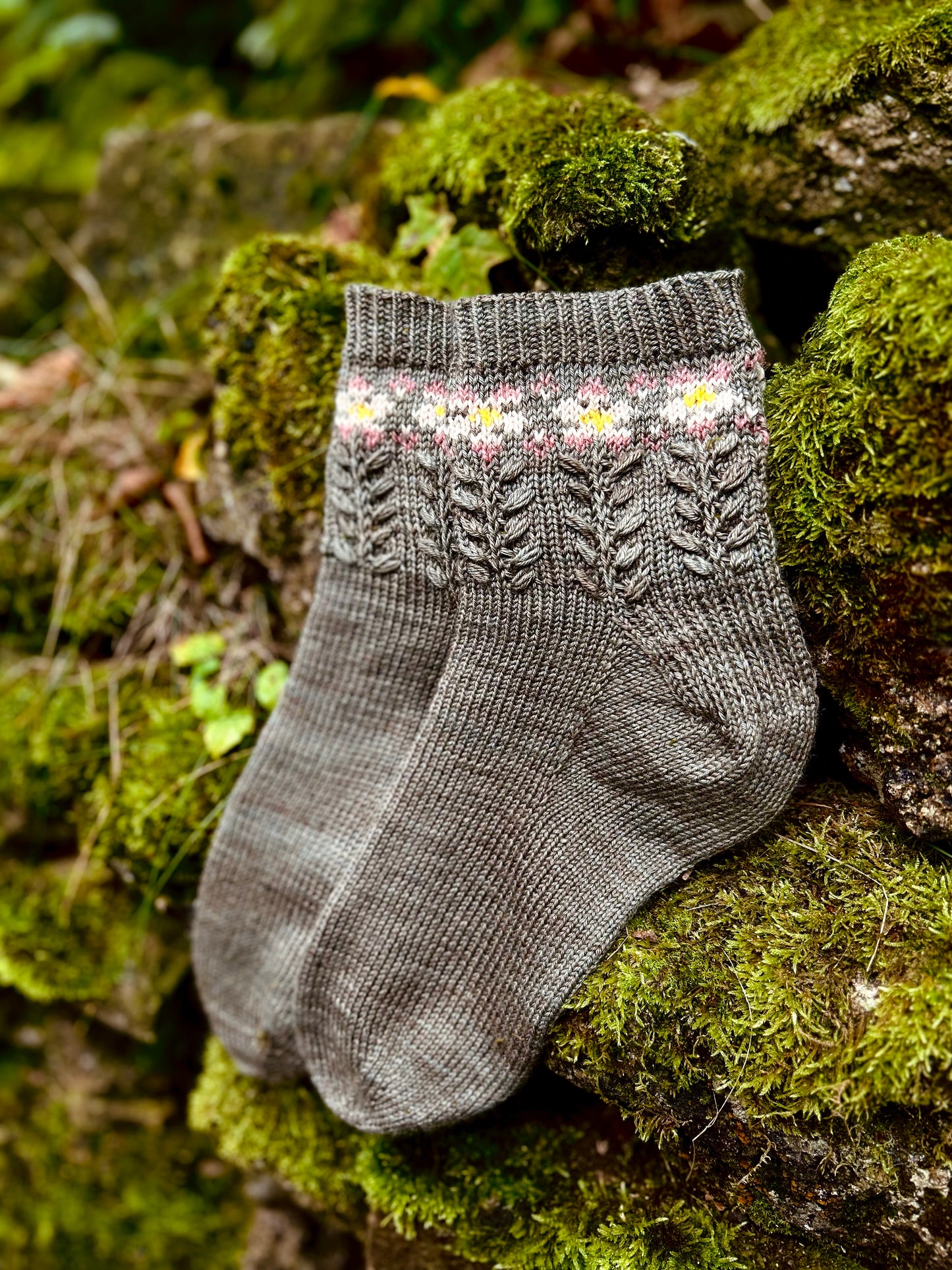 Geranium Socks – Knitting pattern